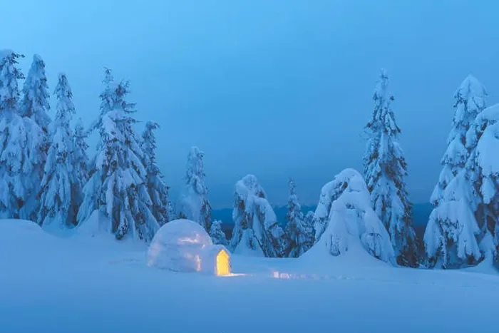 Framed Print : Snow igloo luminous from the inside in the winter Carpathian mountains. Snow-covered firs in the evening light in the background Framed Print : Snow igloo luminous from the inside in the winter Carpathian mountains. Snow-covered firs in the evening light in the background