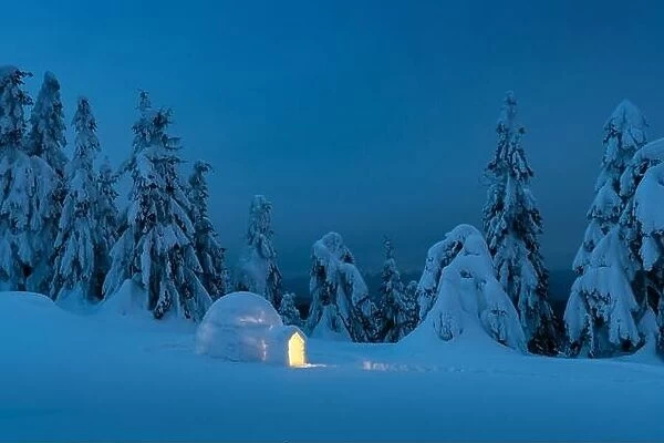 Snow igloo luminous from the inside in the winter mountains. Snow-covered firs in the evening light in the background. Landscape photography