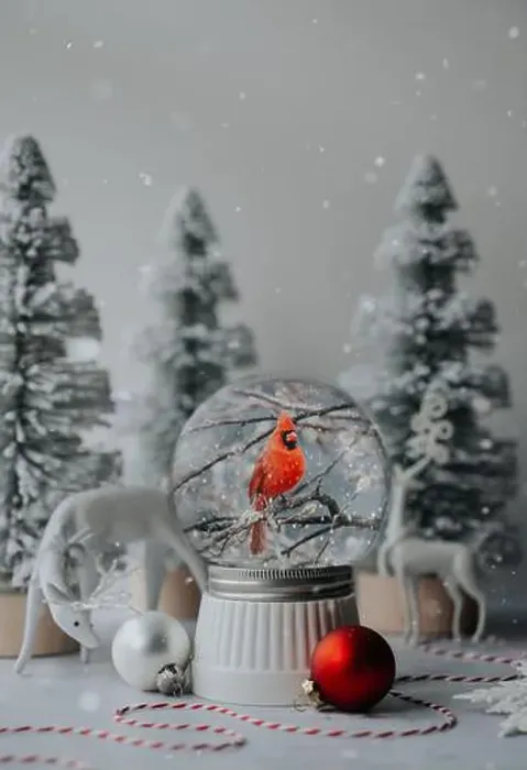 Framed Print : Snowglobe of red cardinal with white deer and trees for Christmas Framed Print : Snowglobe of red cardinal with white deer and trees for Christmas