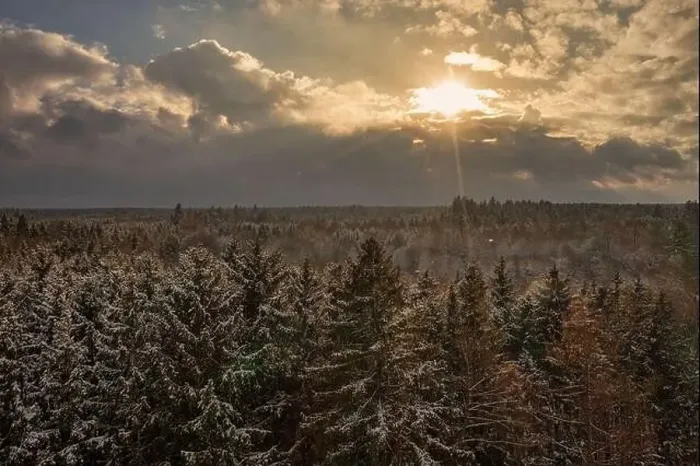 Framed Print : After a snowy day, the sun is shining at the white tree tops Framed Print : After a snowy day, the sun is shining at the white tree tops