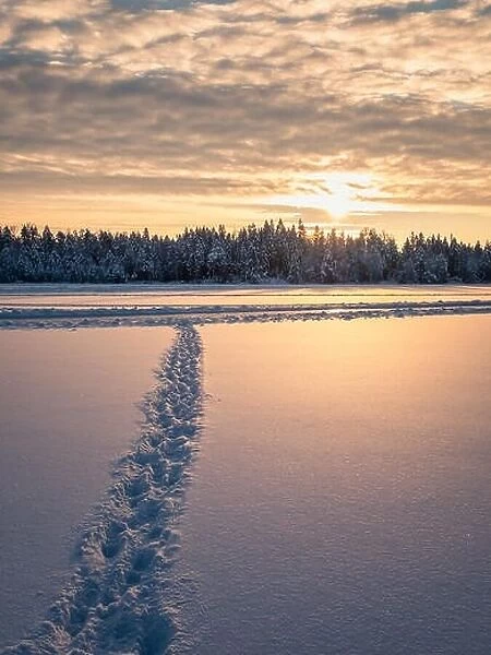 Snowy landscape at sunrise, frozen trees in winter in Finland