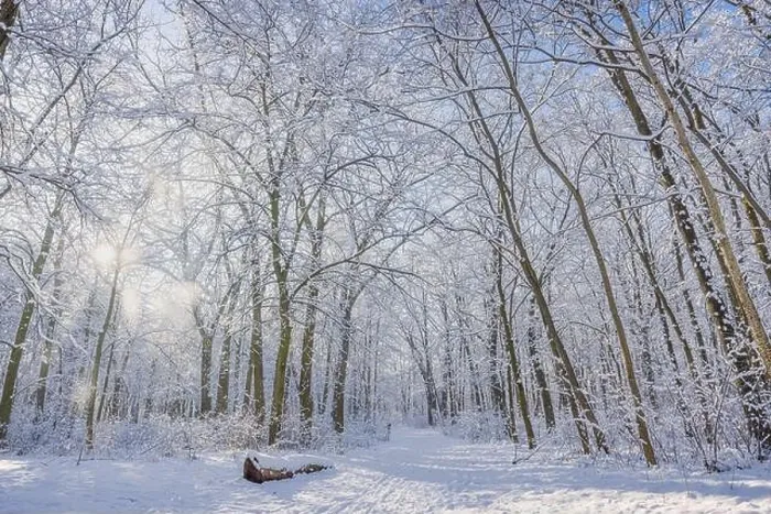 Framed Print : Snowy winter landscape panorama with dreamy sunlight. Idyllic winter nature, adventure and freedom scenic. Amazing seasonal landscape, forest path Framed Print : Snowy winter landscape panorama with dreamy sunlight. Idyllic winter nature, adventure and freedom scenic. Amazing seasonal landscape, forest path