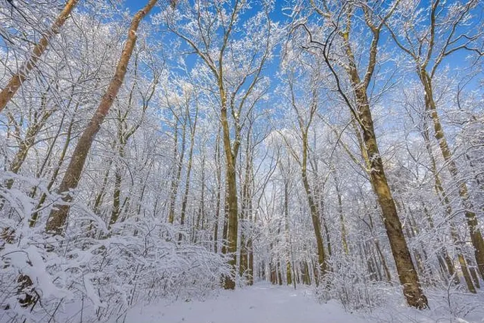Framed Print : Snowy winter landscape panorama with dreamy sunlight. Idyllic winter nature, adventure and freedom scenic. Amazing seasonal landscape, forest path Framed Print : Snowy winter landscape panorama with dreamy sunlight. Idyllic winter nature, adventure and freedom scenic. Amazing seasonal landscape, forest path