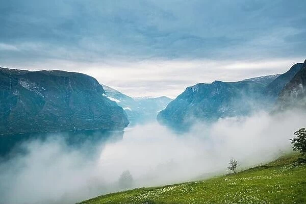 Sogn And Fjordane Fjord, Norway. Amazing Fjord Sogn Og Fjordane In Fog Clouds. Summer Scenic View Of Famous Natural Attraction Landmark And Popular De