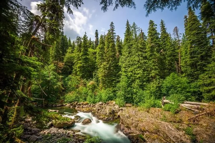 Framed Print : Sol Duc River in Olympic National Park, Washington, USA Framed Print : Sol Duc River in Olympic National Park, Washington, USA