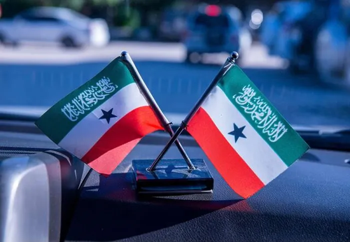 Framed Print : Somaliland flags Framed Print : Somaliland flags