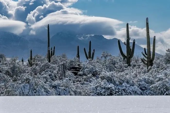 Framed Print : Sonoran Desert after a rare snowstorm Framed Print : Sonoran Desert after a rare snowstorm