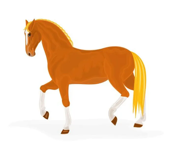 Framed Print : Sorrel horse vector illustration eps 8 Framed Print : Sorrel horse vector illustration eps 8