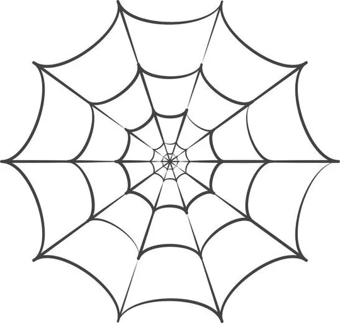 Framed Print : spider web ilustration logo vector template Framed Print : spider web ilustration logo vector template