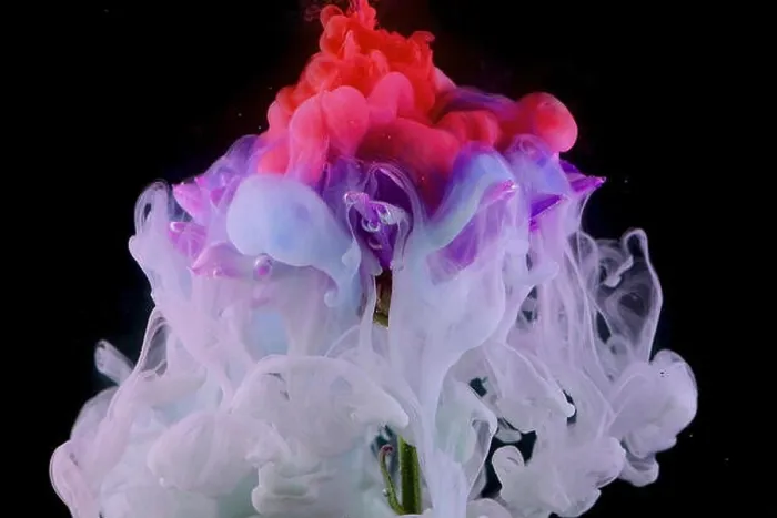 Framed Print : Splashes of colored ink in water, bright colors. Creative and color mix, abstract swirls of different colors on a black background Framed Print : Splashes of colored ink in water, bright colors. Creative and color mix, abstract swirls of different colors on a black background