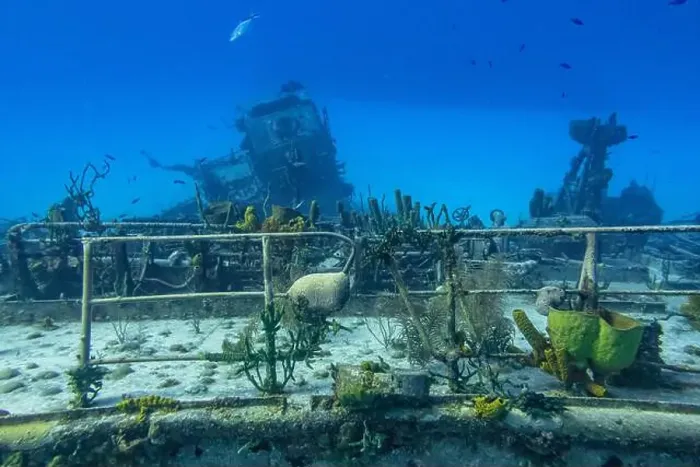 Framed Print : Sponges and coral attached to the railing of the formerly Russian Destroyer M / V Captain Keith Tibbets in the waters off