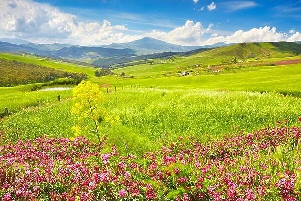 Spring landscape with flowers in Central Sicily, Sicily Island, Italy