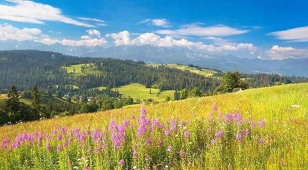 Spring landscape, Podhale country region, Poland