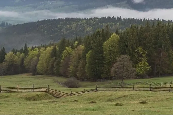Framed Print : Spring mountain view of the foggy forest, in Bucovina Framed Print : Spring mountain view of the foggy forest, in Bucovina