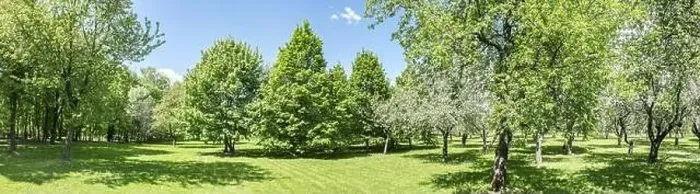 Framed Print : spring park landscape in sunny day. bright green foliage of trees and lawn. drone point view Framed Print : spring park landscape in sunny day. bright green foliage of trees and lawn. drone point view