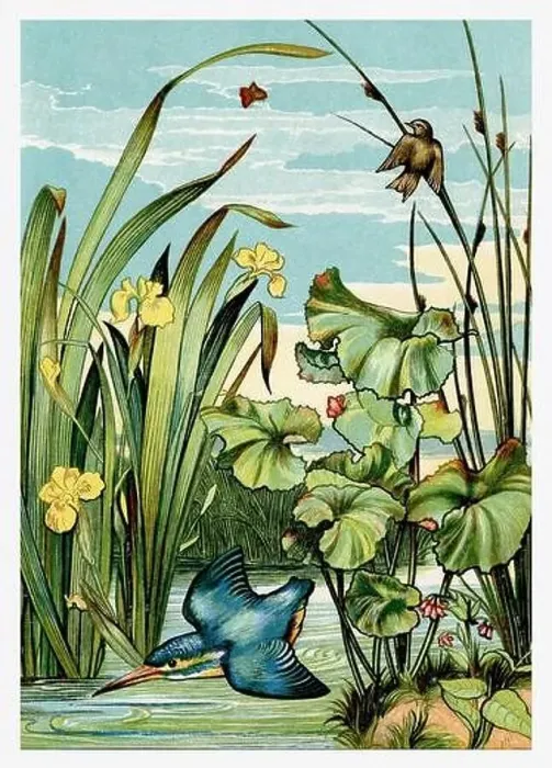 Framed Print : Springtime. Blue Kingfisher over the water and yellow iris flowers Framed Print : Springtime. Blue Kingfisher over the water and yellow iris flowers