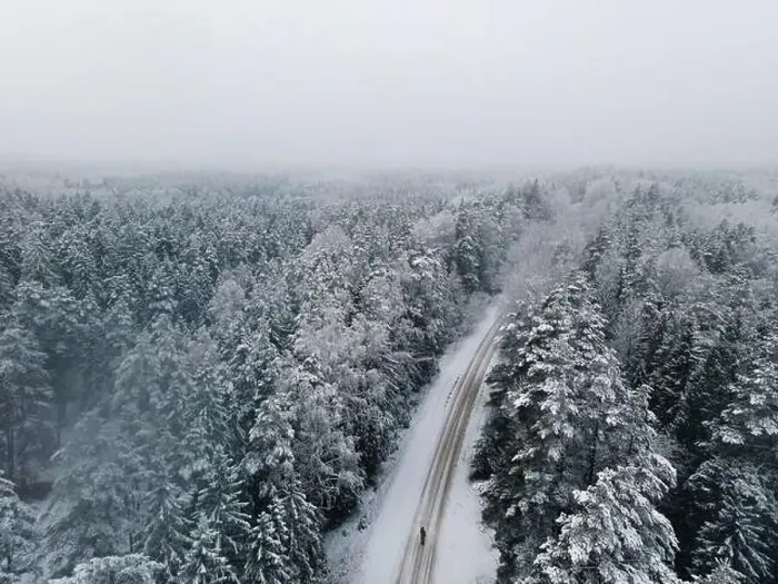 Framed Print : Spruce forest top down birds eye view. Winter landscape from above. Drone shot of snow covered tree Framed Print : Spruce forest top down birds eye view. Winter landscape from above. Drone shot of snow covered tree