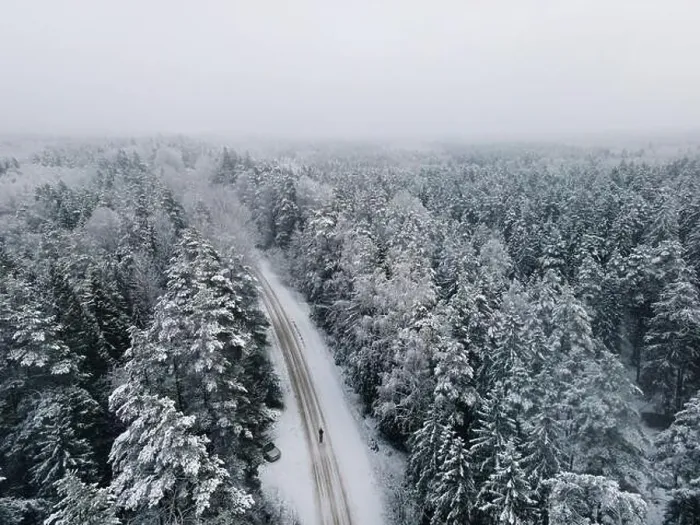 Framed Print : Spruce forest top down birds eye view. Winter landscape from above. Drone shot of snow covered tree Framed Print : Spruce forest top down birds eye view. Winter landscape from above. Drone shot of snow covered tree