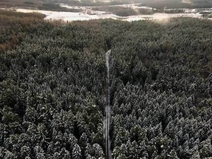 Framed Print : Spruce forest top down birds eye view. Winter landscape from above. Drone shot of snow covered tree Framed Print : Spruce forest top down birds eye view. Winter landscape from above. Drone shot of snow covered tree