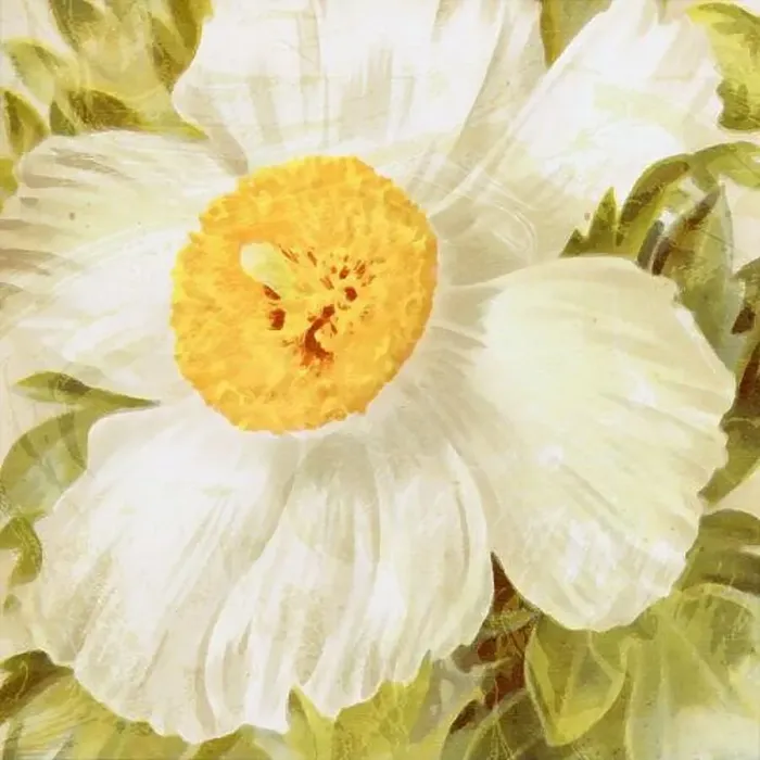 Framed Print : Square floral design, digitally painted in oil Framed Print : Square floral design, digitally painted in oil
