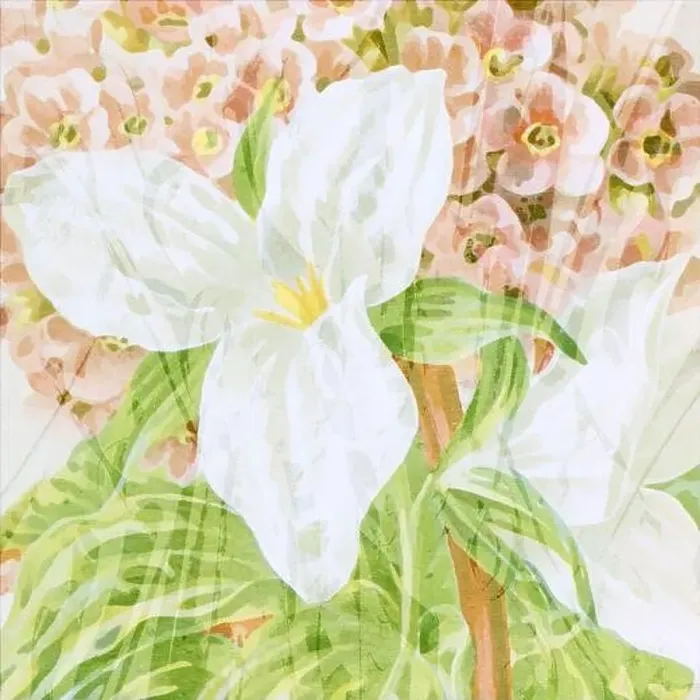 Framed Print : Square floral design, digitally painted in oil Framed Print : Square floral design, digitally painted in oil
