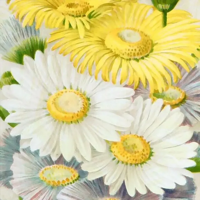 Framed Print : Square floral design, digitally painted in oil Framed Print : Square floral design, digitally painted in oil