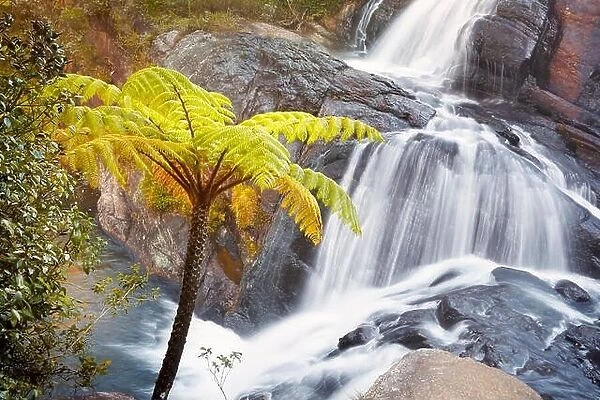 Sri Lanka - Horton Plain National Park, Baker waterfall