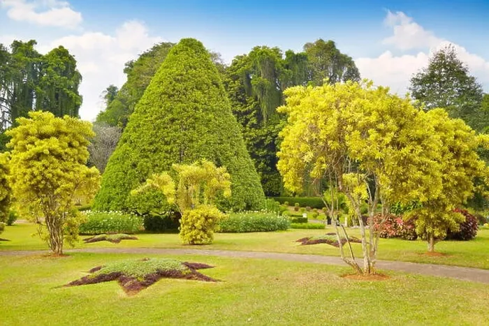 Framed Print : Sri Lanka - Kandy, Peradeniya Botanic Garden Framed Print : Sri Lanka - Kandy, Peradeniya Botanic Garden