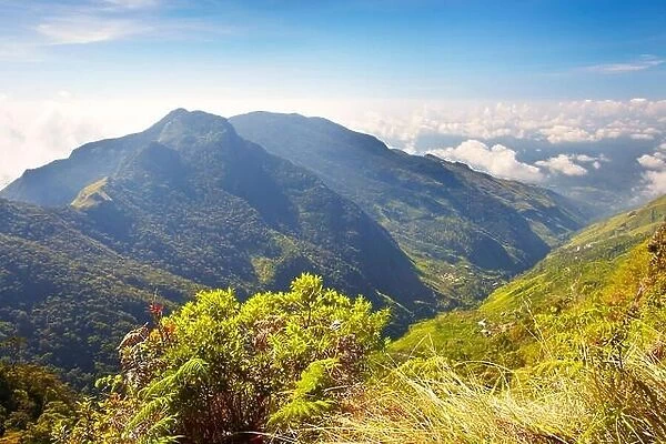 Sri Lanka - landscape of the Horton Plains National Park, view from 'World's End'
