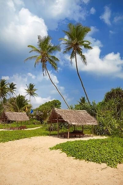 Sri Lanka landscape at Koggala sand beach (southwestern tip of Sri Lanka), Asia