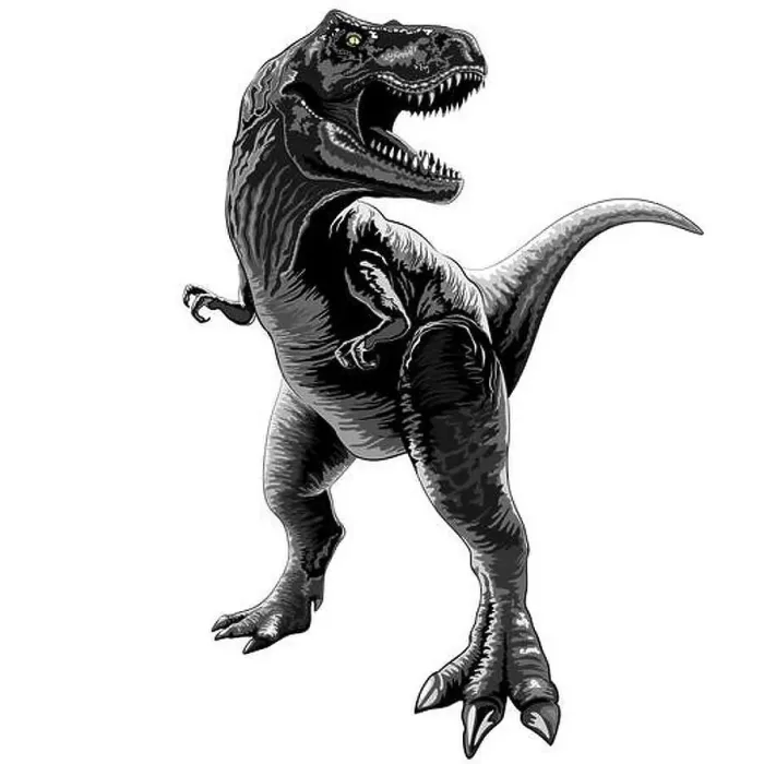 Framed Print : A standing and growling T-Rex figure isolated on a white background Framed Print : A standing and growling T-Rex figure isolated on a white background
