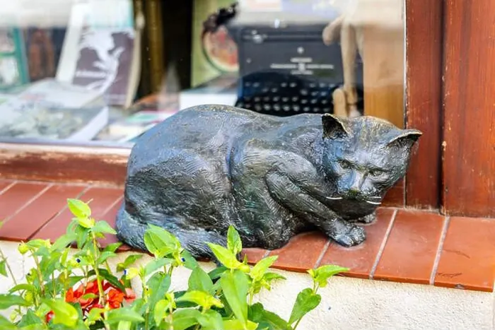 Framed Print : Statue of a cat outside Antykwariat Naukowy antique book shop, Old Town, Wroclaw, Poland Framed Print : Statue of a cat outside Antykwariat Naukowy antique book shop, Old Town, Wroclaw, Poland