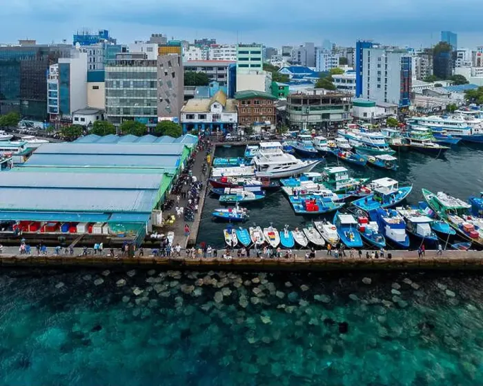 Framed Print : Stingray watching point in Malé city, maldives islands. Next to the port and fish market Framed Print : Stingray watching point in Malé city, maldives islands. Next to the port and fish market