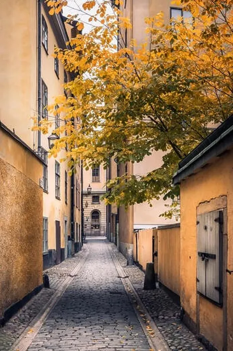 Framed Print : STOCKHOLM, SWEDEN - October 14, 2016: View from narrow and idyllic street with colorful buildings in Gamla Stan. The Old Town in Stockholm, Sweden. Cl Framed Print : STOCKHOLM, SWEDEN - October 14, 2016: View from narrow and idyllic street with colorful buildings in Gamla Stan. The Old Town in Stockholm, Sweden. Cl