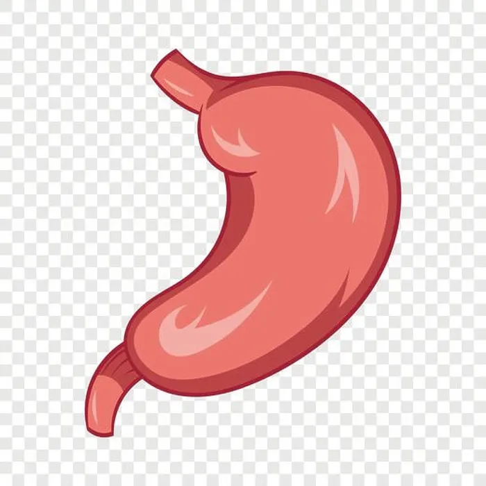 Framed Print : Stomach icon, cartoon style