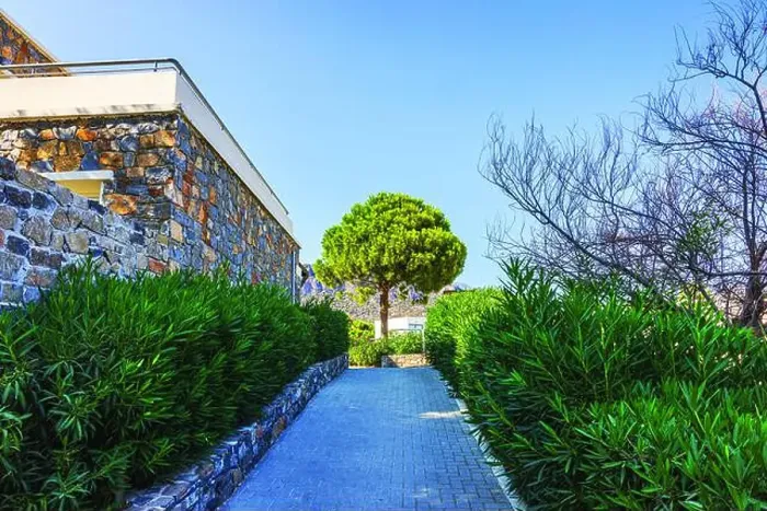 Framed Print : Stone pathway surrounded by green bushes and tree with stone walls Framed Print : Stone pathway surrounded by green bushes and tree with stone walls