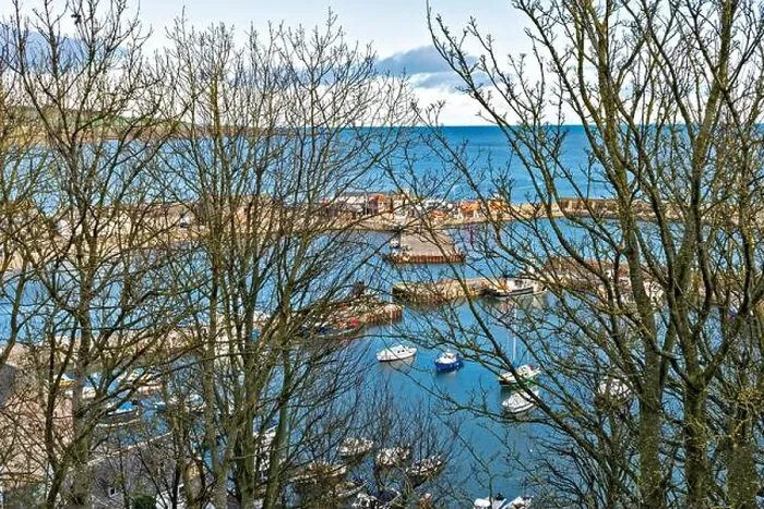 Framed Print : STONEHAVEN ABERDEENSHIRE SCOTLAND THE COWIE HARBOUR SEEN THROUGH TREES IN WINTER Framed Print : STONEHAVEN ABERDEENSHIRE SCOTLAND THE COWIE HARBOUR SEEN THROUGH TREES IN WINTER