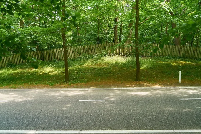 Framed Print : straight empty country road in front of a wooden fence on hill with trees Framed Print : straight empty country road in front of a wooden fence on hill with trees