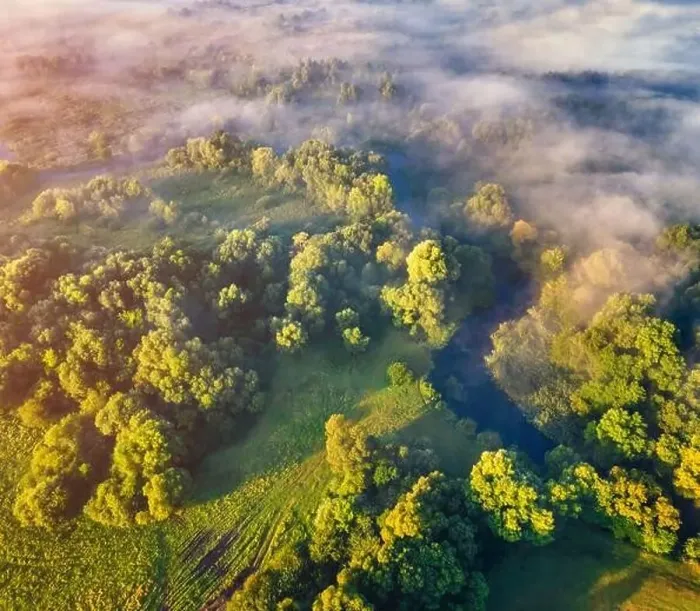 Framed Print : Straight down view from flying drone of small river on the foggy forest Framed Print : Straight down view from flying drone of small river on the foggy forest