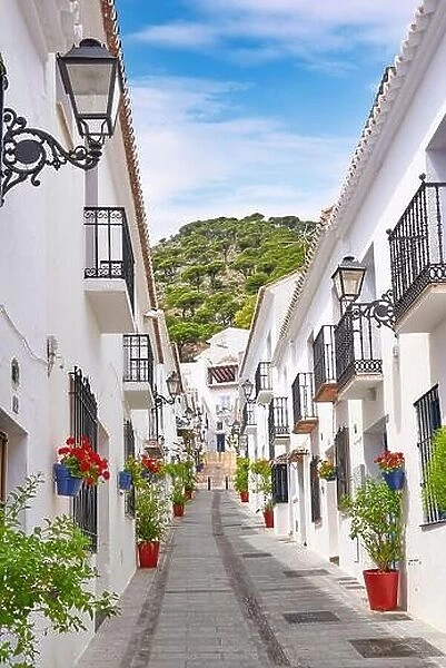 Street in the Mijas, White villages, Costa del Sol, Malaga Province, Andalusia, Spain