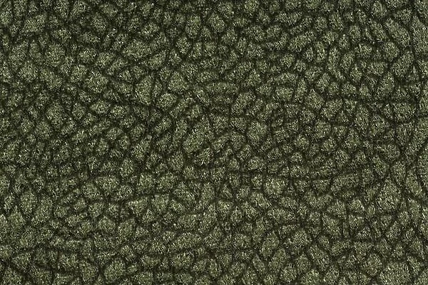 Strict textile background in dark green tone
