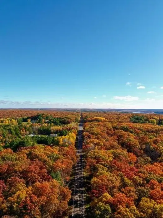 Framed Print : A stunning aerial view of a peaceful road stretching through a forest ablaze with vibrant autumn colors Framed Print : A stunning aerial view of a peaceful road stretching through a forest ablaze with vibrant autumn colors