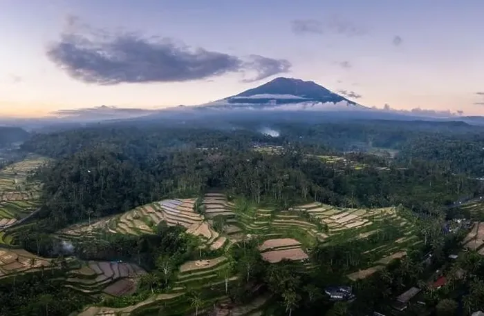 Framed Print : Stunning Balinese landscape with Mt Agung volcano rising above the Muncan rice terraces near Ubud in Bali at sunset in