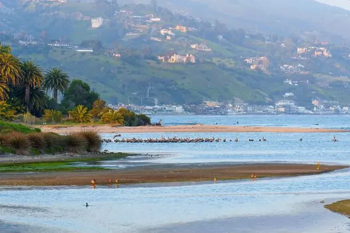 Framed Print : Stunning coastal scene at Malibu Lagoon in California featuring palm trees