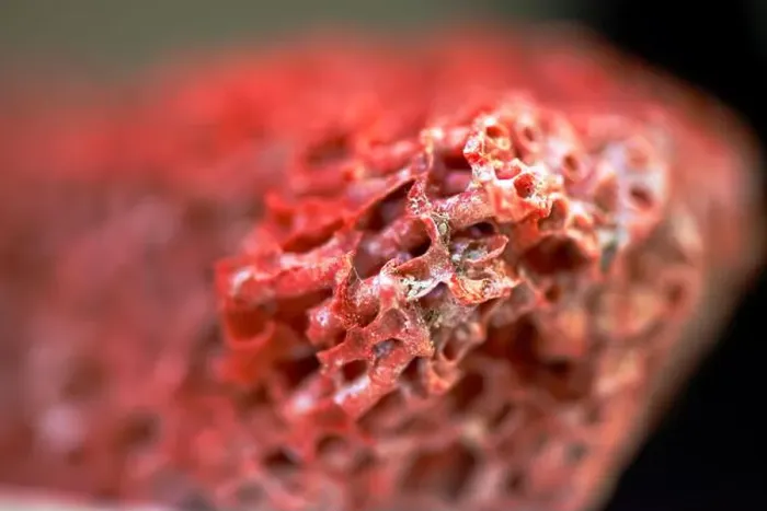 Framed Print : A stunning macro photo reveals the intricate details of a vibrant red coral reef