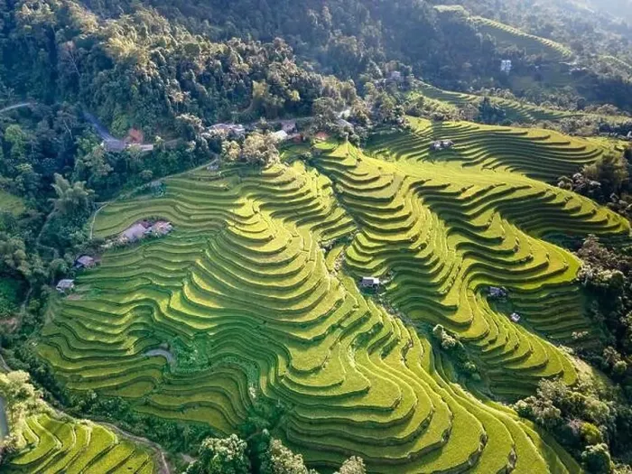 Framed Print : See the stunning scenery of rice terraces during the ripe rice season in Thong Nguyen commune Framed Print : See the stunning scenery of rice terraces during the ripe rice season in Thong Nguyen commune