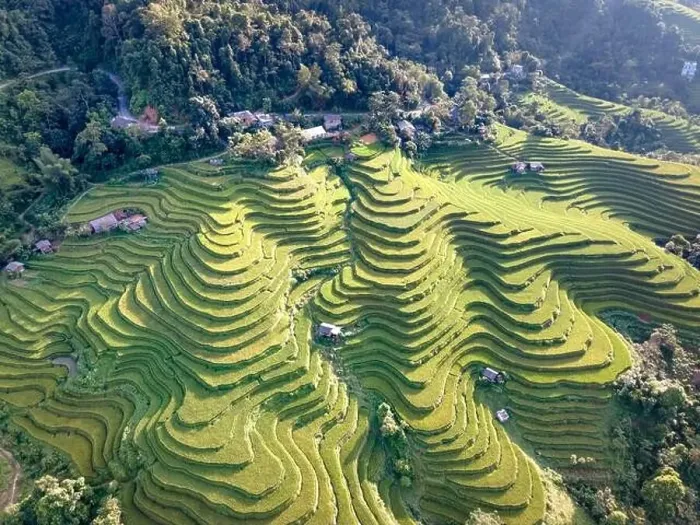 Framed Print : See the stunning scenery of rice terraces during the ripe rice season in Thong Nguyen commune Framed Print : See the stunning scenery of rice terraces during the ripe rice season in Thong Nguyen commune