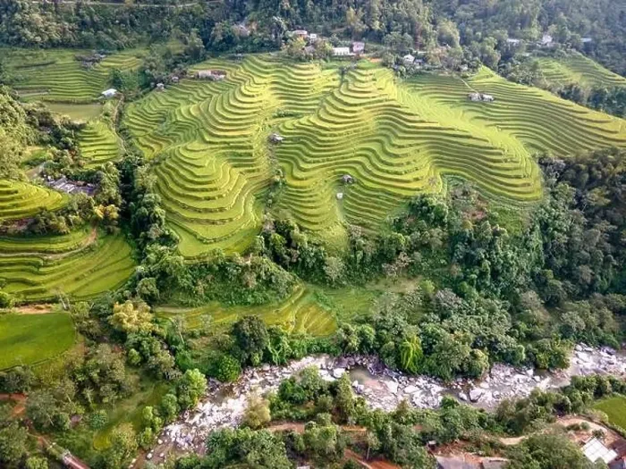 Framed Print : See the stunning scenery of rice terraces during the ripe rice season in Thong Nguyen commune Framed Print : See the stunning scenery of rice terraces during the ripe rice season in Thong Nguyen commune