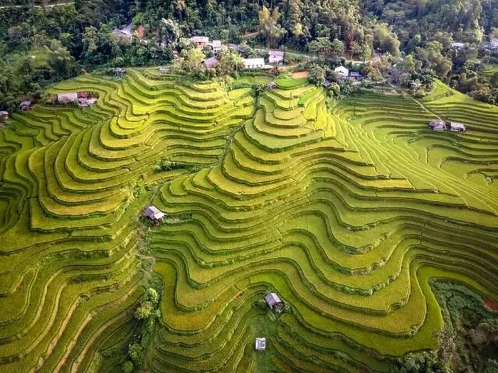 Framed Print : See the stunning scenery of rice terraces during the ripe rice season in Thong Nguyen commune Framed Print : See the stunning scenery of rice terraces during the ripe rice season in Thong Nguyen commune