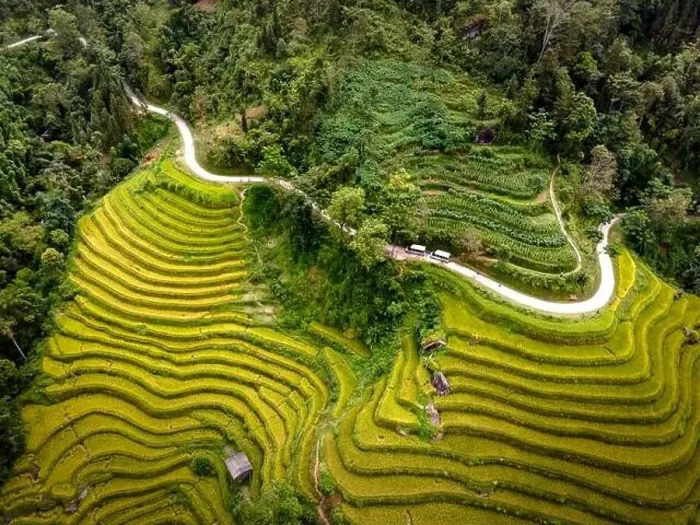 Framed Print : See the stunning scenery of rice terraces during the ripe rice season in Thong Nguyen commune Framed Print : See the stunning scenery of rice terraces during the ripe rice season in Thong Nguyen commune